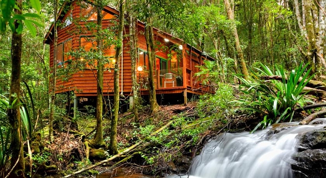 The Mouses House Rainforest Retreat, hinterland, springbrook, hotel guide, travel guide