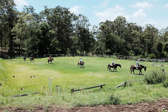 horse back riding, springbrook, hinterland, gold coast, australia