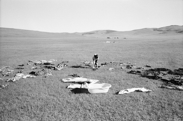 laundry, mongolia, nomads, 