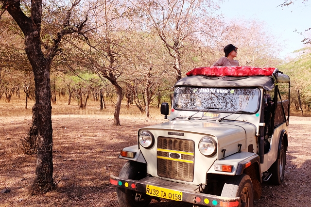 mahindra thar, jeep, safari, amer, rajasthan, travel blog, india, incredible india, 