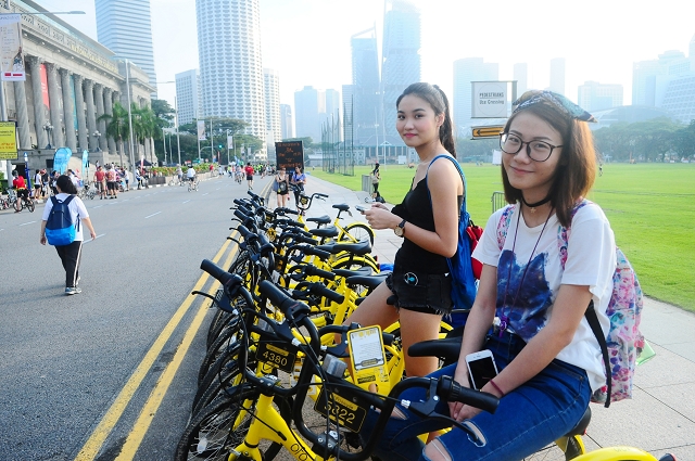 car free sunday sg, singapore, events, national gallery, bike sharing, bike rental