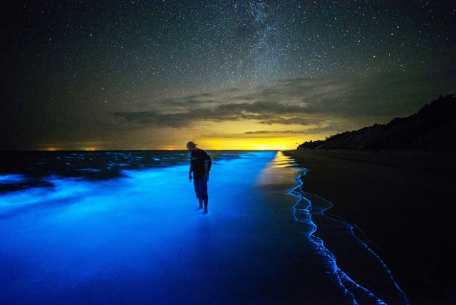 trusan beach miri, looks like vaadhoo beach maldives, glowing plankton, 