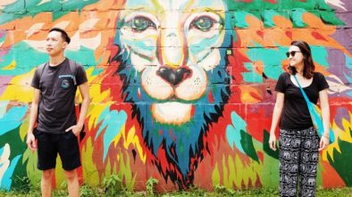 sri lanka, random facts about sri lanka, travel sri lanka, mirissa, lion graffiti