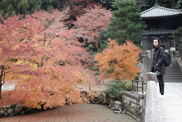 Kyoto asakusa shrine, travel blog singapore, japan camper van, japan holiday, japan travel