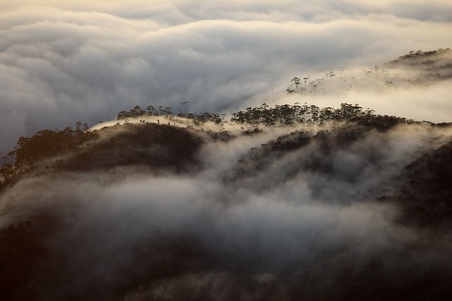 Adam's Peak Fog, Travel to Sri Lanka, Travel Blog Singapore, 