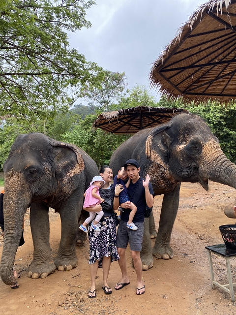 elephant jungle sanctuary phuket