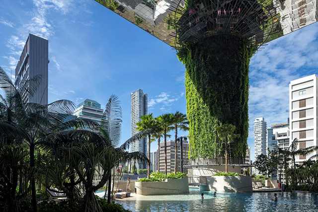 Pan Pacific Orchard swimming pool, Best Hotel Singapore, Travel Blog Review Singapore, Fat Starfish